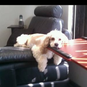 Meet your Posher, Warren